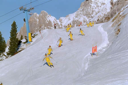 ski