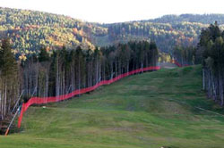 ski