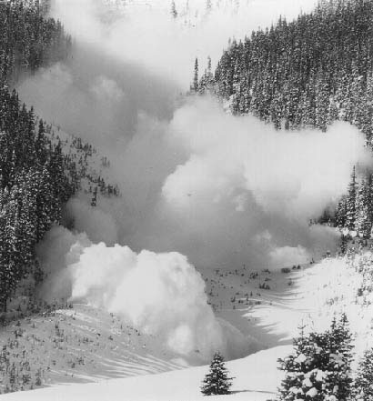 ski