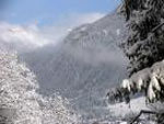 Badia