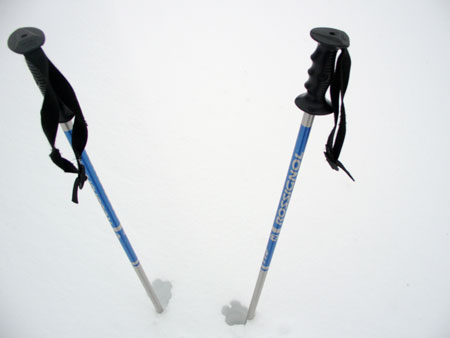 ski