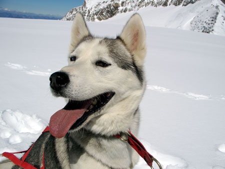 ski