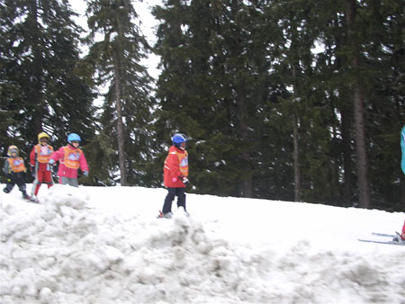 ski