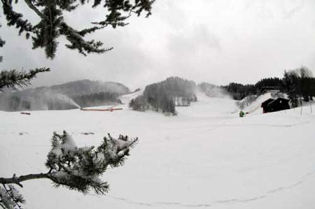 ski