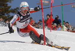 ski