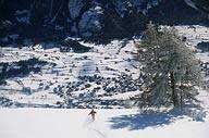 ski