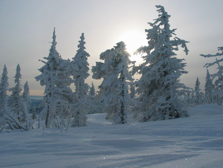 ski