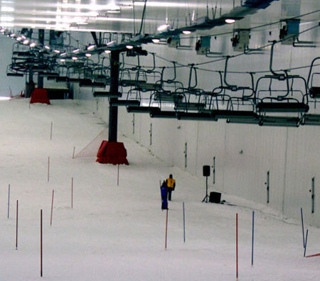 ski