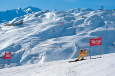 ski