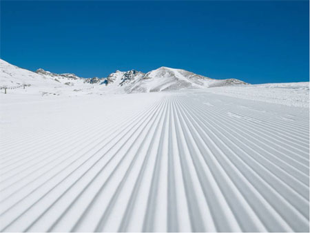 ski
