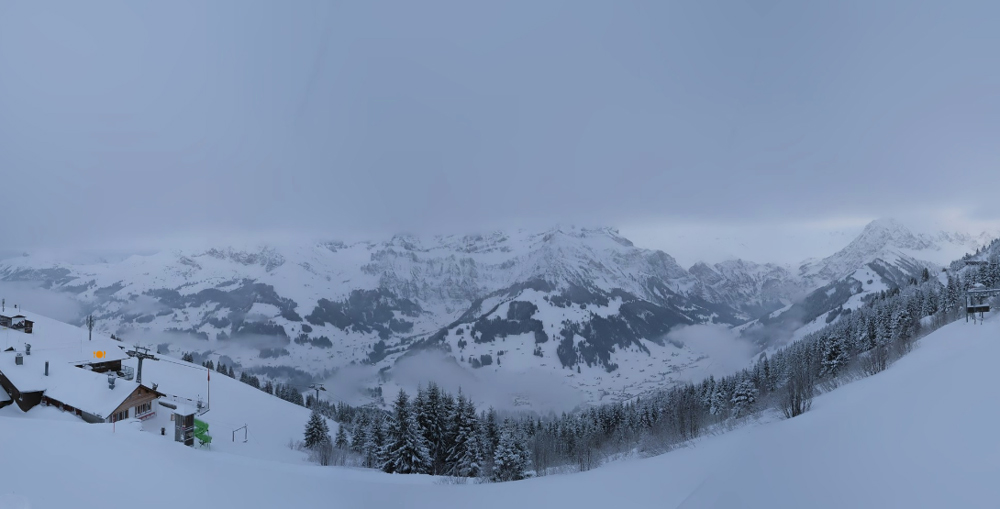 ����� ����