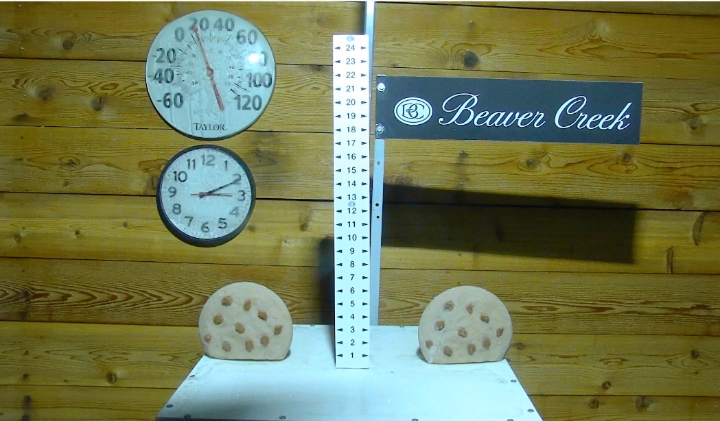 ����� ����