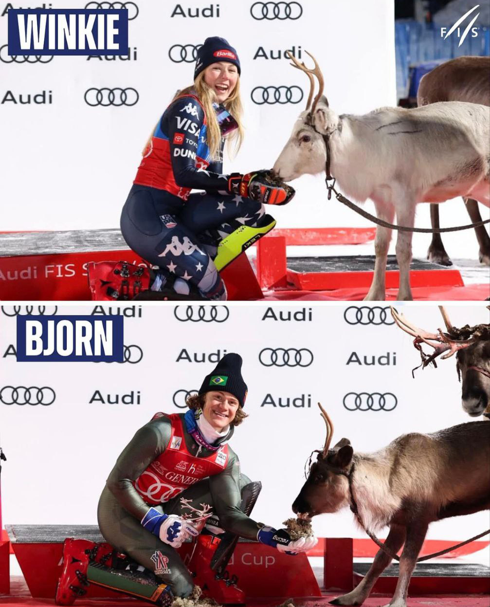 ����� ����