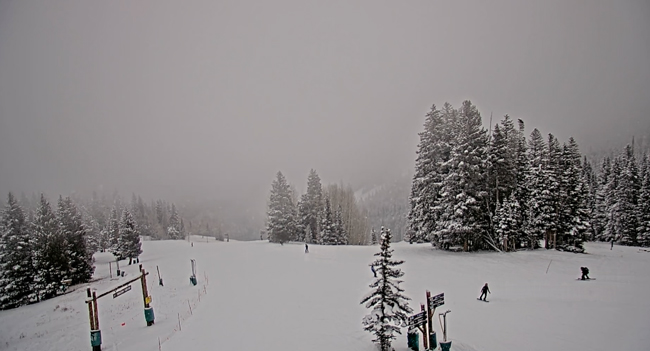 ����� ����