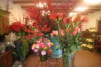 St_Moritz_Resort0060_JPG
